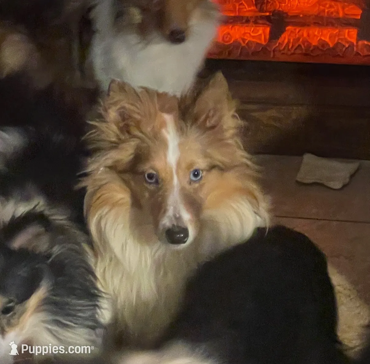 processed/5df35e9f-7163-4a2e-ae34-d16b82b4f3da/listing/cc6b1268-c708-4410-b0c3-f20d51860705/b3becb83-3e7a-43af-8913-5f1e93e9a902