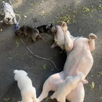 processed/5dfc1edf-c098-48dd-a5ea-06b04cda0bb1/facility/2d79df4d-8065-40a7-a58e-48ef494736b0