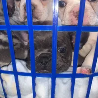 processed/5dfc1edf-c098-48dd-a5ea-06b04cda0bb1/facility/76b5a613-61bb-4597-985a-490953a37fde