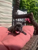 processed/5dfc1edf-c098-48dd-a5ea-06b04cda0bb1/facility/9e40b073-7dc7-4178-bdd0-53814dd5449d