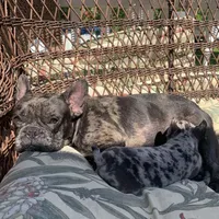 processed/5dfc1edf-c098-48dd-a5ea-06b04cda0bb1/facility/a433e1b1-2800-4fbd-8300-224fba541de8