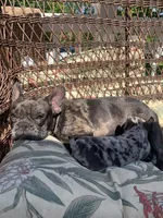 processed/5dfc1edf-c098-48dd-a5ea-06b04cda0bb1/facility/a433e1b1-2800-4fbd-8300-224fba541de8