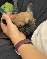 processed/5dfc1edf-c098-48dd-a5ea-06b04cda0bb1/listing/42f8eed0-2f17-4f2a-94b6-c00e4c0ba7a5/286dc23f-1abd-4952-a59e-8f730db7d4c7