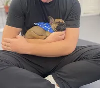 processed/5dfc1edf-c098-48dd-a5ea-06b04cda0bb1/listing/42f8eed0-2f17-4f2a-94b6-c00e4c0ba7a5/7ac41029-326d-40eb-9af1-24235c882461