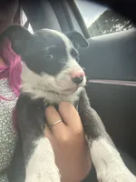 processed/5dfc1edf-c098-48dd-a5ea-06b04cda0bb1/listing/c840342e-e26b-447b-917d-302715988996/3765e881-816a-4fda-800d-f762404125ab