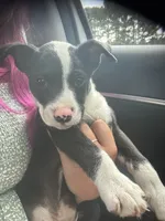 processed/5dfc1edf-c098-48dd-a5ea-06b04cda0bb1/listing/c840342e-e26b-447b-917d-302715988996/e18ddd29-43c6-4859-a857-cd752b807495