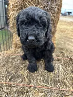 processed/5e083b1d-1759-482c-96bd-5020b6df2dca/listing/286c9880-cc62-4ddc-b4da-faea66e3694b/4b1c677a-c308-463c-a8a6-90a9ab8f77de