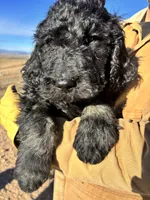 processed/5e083b1d-1759-482c-96bd-5020b6df2dca/listing/286c9880-cc62-4ddc-b4da-faea66e3694b/5f18ece0-a8d2-4a5b-a0ad-c0e4554eb637