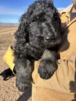 processed/5e083b1d-1759-482c-96bd-5020b6df2dca/listing/286c9880-cc62-4ddc-b4da-faea66e3694b/6bcb1810-9377-4492-b647-5dba377e901f