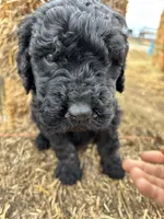 processed/5e083b1d-1759-482c-96bd-5020b6df2dca/listing/286c9880-cc62-4ddc-b4da-faea66e3694b/7d7c9f72-c378-4c40-af30-f80fb7575980