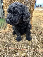 processed/5e083b1d-1759-482c-96bd-5020b6df2dca/listing/286c9880-cc62-4ddc-b4da-faea66e3694b/bf18c90c-aa4b-42ea-b122-6ecf6c76959d