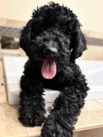 processed/5e083b1d-1759-482c-96bd-5020b6df2dca/listing/590aa308-0c53-4f55-9a08-afcd58a083d3/21e6d570-510a-438b-b123-b2d55df883b6