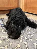 processed/5e083b1d-1759-482c-96bd-5020b6df2dca/listing/590aa308-0c53-4f55-9a08-afcd58a083d3/24463f7c-e641-4d2f-a85b-8434aa905de8