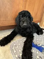 processed/5e083b1d-1759-482c-96bd-5020b6df2dca/listing/590aa308-0c53-4f55-9a08-afcd58a083d3/558cca48-d838-4aba-80ce-0997161d47ea