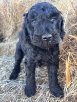 processed/5e083b1d-1759-482c-96bd-5020b6df2dca/listing/590aa308-0c53-4f55-9a08-afcd58a083d3/a3a546d4-4886-4292-81f6-4ad75b3f70e9