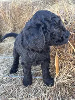 processed/5e083b1d-1759-482c-96bd-5020b6df2dca/listing/590aa308-0c53-4f55-9a08-afcd58a083d3/aacd961e-4279-4996-b329-248c15fefd82