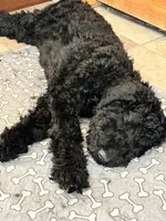 processed/5e083b1d-1759-482c-96bd-5020b6df2dca/listing/590aa308-0c53-4f55-9a08-afcd58a083d3/aae8c6c2-2276-4163-8cd2-5a5875dcf843