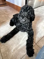 processed/5e083b1d-1759-482c-96bd-5020b6df2dca/listing/590aa308-0c53-4f55-9a08-afcd58a083d3/b1e1fc3d-5746-443c-a762-d551e496b812