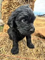 processed/5e083b1d-1759-482c-96bd-5020b6df2dca/listing/5ff9387f-2150-4eaa-8618-0fb6def443f6/17a63a80-56e3-4d80-be19-f9e259725d19