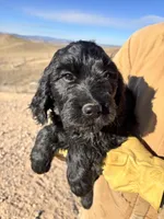 processed/5e083b1d-1759-482c-96bd-5020b6df2dca/listing/5ff9387f-2150-4eaa-8618-0fb6def443f6/5d8b85ec-6e86-4904-8c8a-852cbb0d996a