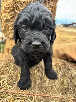 processed/5e083b1d-1759-482c-96bd-5020b6df2dca/listing/5ff9387f-2150-4eaa-8618-0fb6def443f6/667f234e-faa7-4d13-99d1-c97d96bab3a9