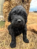 processed/5e083b1d-1759-482c-96bd-5020b6df2dca/listing/5ff9387f-2150-4eaa-8618-0fb6def443f6/75e3573d-b5bc-4d48-bd02-befb1ab23857