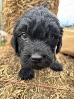 processed/5e083b1d-1759-482c-96bd-5020b6df2dca/listing/5ff9387f-2150-4eaa-8618-0fb6def443f6/a5c0dfec-9a9f-49eb-9d04-738f7dd9480d