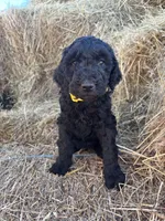 processed/5e083b1d-1759-482c-96bd-5020b6df2dca/listing/ab09b034-f1bf-42ae-a853-069d58d0d53d/592c3dfd-c853-4932-9d39-9beefbd72798