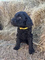 processed/5e083b1d-1759-482c-96bd-5020b6df2dca/listing/ab09b034-f1bf-42ae-a853-069d58d0d53d/f576dd09-2ca2-4b0b-8e94-fe1ef84964e5