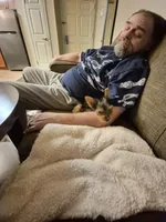 Leonard, a male Yorkshire Terrier for sale in Roscommon, MI – Photo 8 of 10