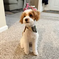 processed/5e152708-db98-4b69-a59a-25c29255b4a8/facility/1967ca7c-1936-4290-9d9b-7ca0c664c1aa