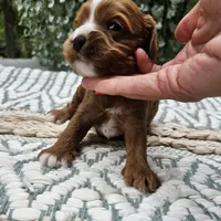 processed/5e152708-db98-4b69-a59a-25c29255b4a8/facility/9287ca39-56cf-44ac-8115-3514f0b1347f