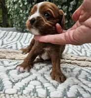 processed/5e152708-db98-4b69-a59a-25c29255b4a8/facility/9287ca39-56cf-44ac-8115-3514f0b1347f