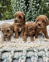 processed/5e152708-db98-4b69-a59a-25c29255b4a8/facility/9f881007-e864-4a2d-9f61-ab9392bae509