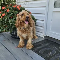 processed/5e152708-db98-4b69-a59a-25c29255b4a8/facility/bd4c6682-2259-420b-895a-65895e5e4d6e