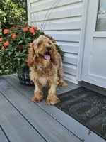 processed/5e152708-db98-4b69-a59a-25c29255b4a8/facility/bd4c6682-2259-420b-895a-65895e5e4d6e