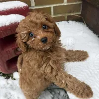 processed/5e152708-db98-4b69-a59a-25c29255b4a8/facility/cb0d67c0-d9de-4f1d-aedb-44ba2f3dfb77