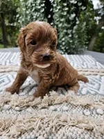 processed/5e152708-db98-4b69-a59a-25c29255b4a8/facility/cb13d36d-caf7-40d6-bde4-665d0640f29e