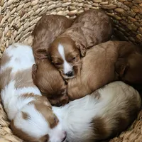 processed/5e152708-db98-4b69-a59a-25c29255b4a8/facility/ef84079e-6c46-4e41-a581-1a46ac0cc051