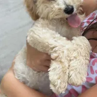 processed/5e152708-db98-4b69-a59a-25c29255b4a8/facility/f61efc74-45b1-4e5e-8d66-d351cf586cea