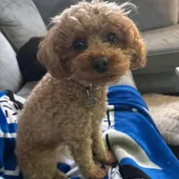 processed/5e152708-db98-4b69-a59a-25c29255b4a8/facility/fe7f6465-9fc3-4af2-be97-34f8b5631469