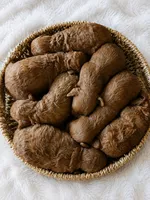 Gus, a male Cavapoo for sale in Crab Orchard, KY – 7 of 7