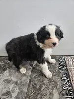 processed/5e152708-db98-4b69-a59a-25c29255b4a8/listing/2c4e132a-3d8b-46ae-acb7-6a55d12c15e1/3d364eba-6e0d-4366-a2a8-02e75c6a4cf7