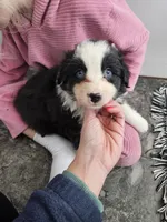 processed/5e152708-db98-4b69-a59a-25c29255b4a8/listing/2c4e132a-3d8b-46ae-acb7-6a55d12c15e1/754fa805-260c-49c4-bb75-aa736aa9a48f