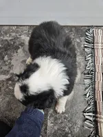 processed/5e152708-db98-4b69-a59a-25c29255b4a8/listing/2c4e132a-3d8b-46ae-acb7-6a55d12c15e1/8d6401c9-5ace-46b7-b047-d9cf2e8e9e05