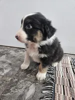 processed/5e152708-db98-4b69-a59a-25c29255b4a8/listing/562e9475-5e29-40a2-82cb-1f3bed756539/07f5c6e1-0d4e-4530-b90d-7a4f5e916f3b