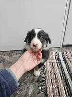 processed/5e152708-db98-4b69-a59a-25c29255b4a8/listing/562e9475-5e29-40a2-82cb-1f3bed756539/3598226b-3b14-420a-a361-91ee060da2b3