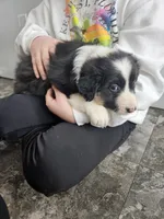 processed/5e152708-db98-4b69-a59a-25c29255b4a8/listing/562e9475-5e29-40a2-82cb-1f3bed756539/8e4bde3e-a672-476b-ac7d-158533f2fe5d