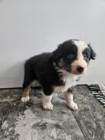 processed/5e152708-db98-4b69-a59a-25c29255b4a8/listing/66b7a73f-0335-4fc3-9af3-1e030a2794dc/0f805148-5d02-4769-ac98-7cdcba173399