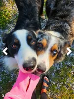 processed/5e152708-db98-4b69-a59a-25c29255b4a8/listing/66b7a73f-0335-4fc3-9af3-1e030a2794dc/1f3a0a42-fe80-415e-bf05-9e570cd838fa